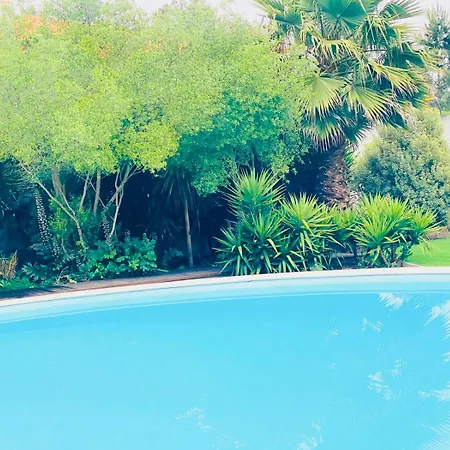 Moradia De Sonho Com Piscina